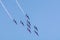 Toulon rade, FRANCE - August 15, 2018: Patrouille de France aerobatics team, famous demonstration of French Air force, Alpha jets