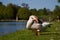 Toulouse Goose in the sun scratching