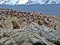 Tour of the Beagle channel