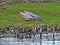 Tour of the Beagle channel