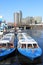 Tour boats in frozen canal, Amsterdam