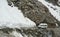 A tour car running on the snow road in Khardungla, India