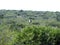 Tour in Coleta Valdes, sea birds watching