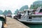 Tour ships at Halong bay