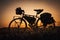 Touring bikes parked in a flower field during sunset in Pattaya, Naklua