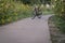 touring gravel bike at dusk on a biking trail with wild sunflowers