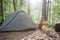 Tourism concept. Camping and hiking. Woman setting tent in the