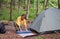 Tourism concept. Camping and hiking. Woman setting tent in the forest summer day