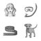 Tourism, hairdresser, rest and other monochrome icon in cartoon style.dog, animal, home icons in set collection.