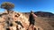 Tourism in MacDonnell Ranges