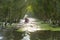 Tourism motorboat in cajuput forest in floating water season in Mekong Delta, Can Tho, Vietnam