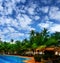 Tourism. Palm trees against a blue sky.