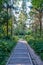 Tourism pathway in the summer green park