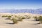 Tourist admiring dunes in Death Valley National Park