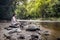 Tourist admiring scenic nature view of Tahan River bank with lush rainforest foliage at Taman Negara National Park