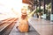 Tourist asian lifestyle women wearing backpack holding map, traveler siting for waiting a train, so happy and relax