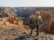 A tourist with a backpack shoots a photo on a smartphone of the view of the Charyn canyon