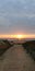 Tourist Beach Sunrise Path Durban