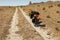 Tourist bicycle with bags stands on a dusty road