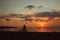 A tourist on a bicycle watching the sunset