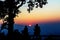 Tourist and big tree silhouetted