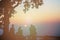 Tourist and big tree silhouetted with stunning sunset