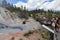 Tourist and Bison by Mud Volcano