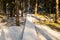 Tourist boardwalk with foot tracks on winter road