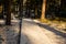 Tourist boardwalk with foot tracks on winter road