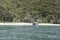 Tourist boat landing at Tonga Quarry beach, near Kaiteriteri, Abel Tasman park, New Zealand