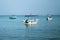 Tourist boats for diving and snorkeling at Cape Turtles in the diving center of Hikkaduwa