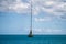 tourist boats and tour boats in the whitsundays queensland, australia. travellers on the great barrier reef, over coral and fish.