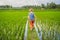 Tourist boy walks in a rice field. Traveling with children concept. Kids friendly place