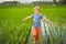 Tourist boy walks in a rice field. Traveling with children concept. Kids friendly place