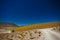 Tourist bus in the atacama desert