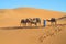 Tourist camel caravan in Africa sand desert dunes