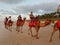 Tourist Camel Ride Cable Beach Broome