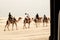 Tourist caravan on a camel were going through Sand Dunes in Port Stephen of New South Wales, Australia