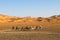 Tourist caravan, Sahara Desert