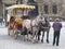 Tourist carriage with two grey horses
