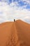 Tourist climbing a dune in the Sossusvlei desert, Namibia