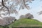 Tourist climbing up a long flight of steps to a hilltop of beautiful cherry blossom trees