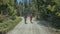 Tourist couple on a bike tour on a dirt path lined with trees on a sunny day