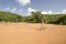 A tourist couple enjoy a game of outdoor tennis at Lewa Downs in North Kenya, Africa. Tourism has taken a significant leap forwar