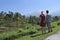 Tourist couple looking at the landscape view of rice fields in Jatiluwih rice terraces Bali Indonesia