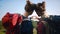 Tourist couple in love traveling, making heart sign with hands.