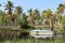 Tourist Cruising Boat On Backwater And Coconut Plantation