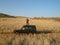 Tourist in Damaraland in Namibia