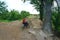 A tourist drives a Bicycle through the sand,a Bicycle traveller passes through the sand