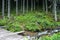 Tourist educational trail to Tri vody in Demanovska valley with a bridge over a mountain stream and one of several benches